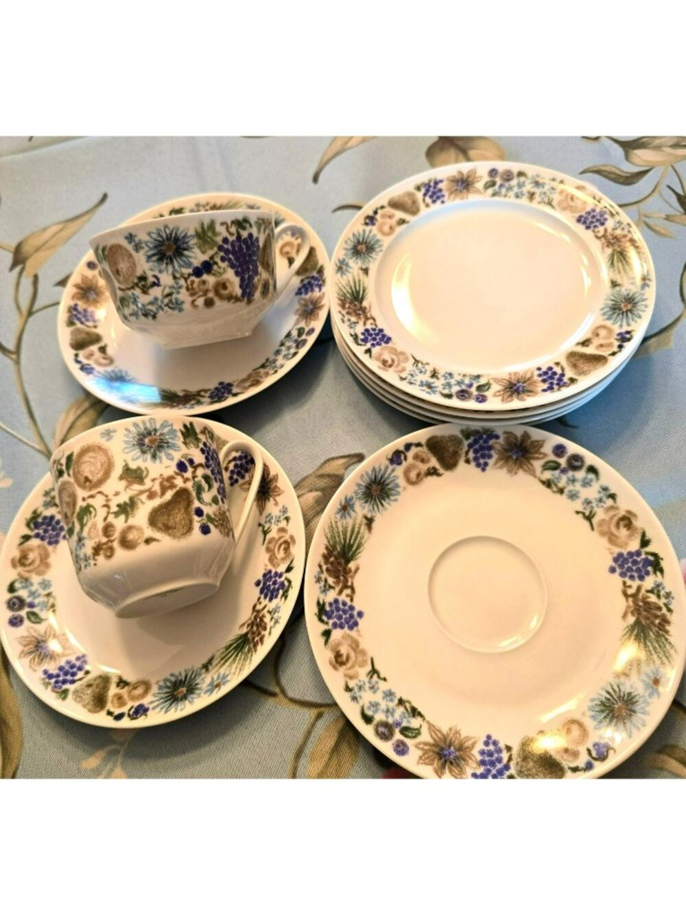 Vintage Arzberg Floral Cups Saucer Plate Set Blue Brown Wildflower  JH8008